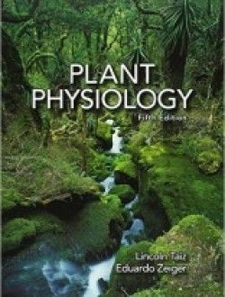 plant biology textbook pdf